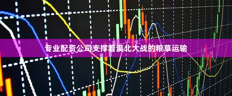 专业配资公司支撑着漠北大战的粮草运输