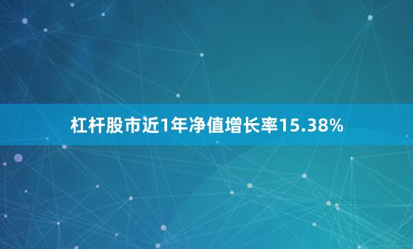 杠杆股市近1年净值增长率15.38%